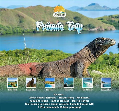 HOW TO GET TO KOMODO ISLAND FROM BALI