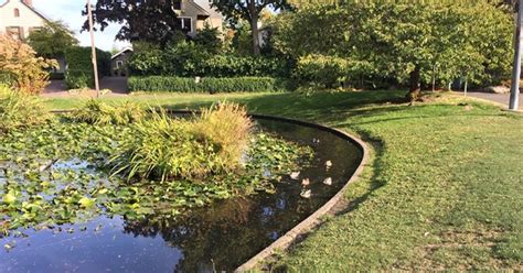 Debate Rages About Playground Plans For Seattle Nude Beach