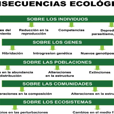 Pdf Causas De La Pérdida De Biodiversidad Especies Exóticas Invasoras Causes Of Biodiversity