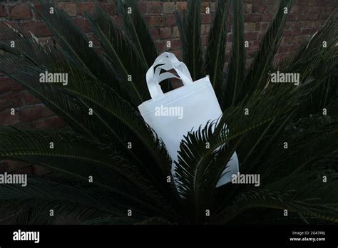 Palm Leaf Bags Hi Res Stock Photography And Images Alamy