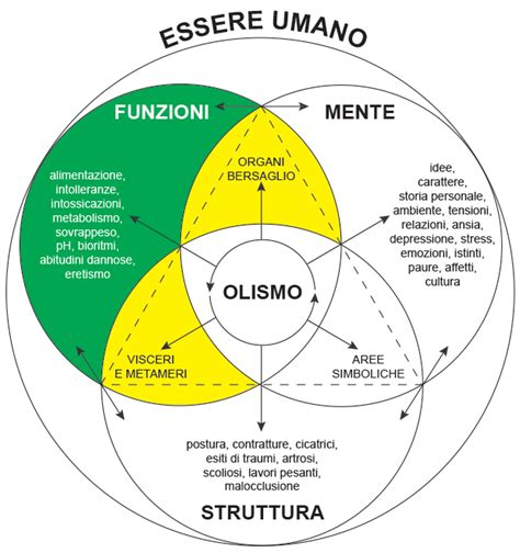 Ruolo Specifico Dell Olismologia Olismologia La Disciplina Della