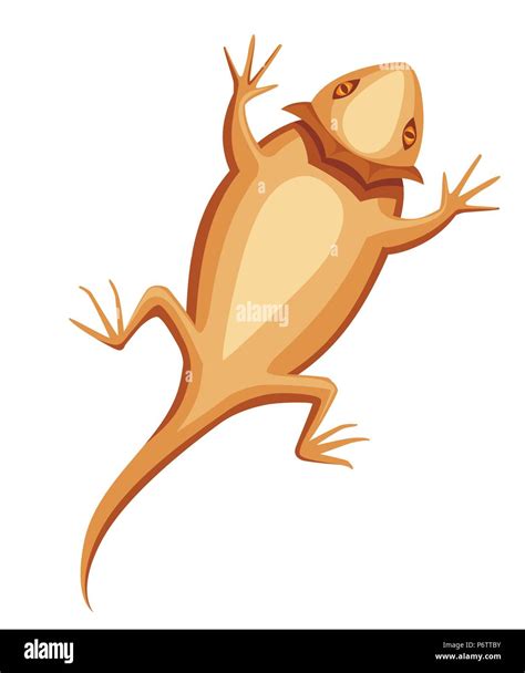 Desert Bearded Dragon Stock Vector Images Alamy