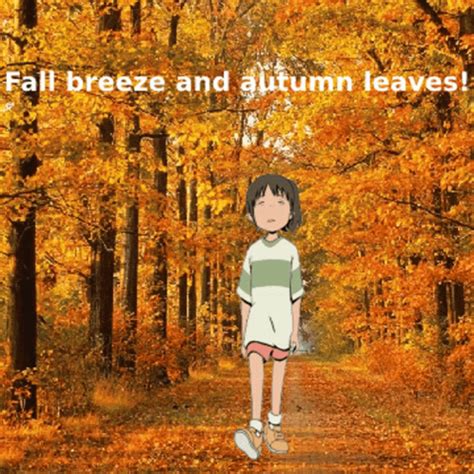 autumn falls gifs gifdbcom