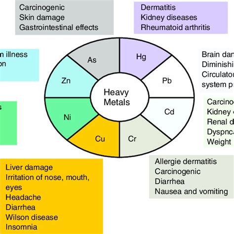 Human Health Hazards Associated With Exposure To Toxic Heavy Metals