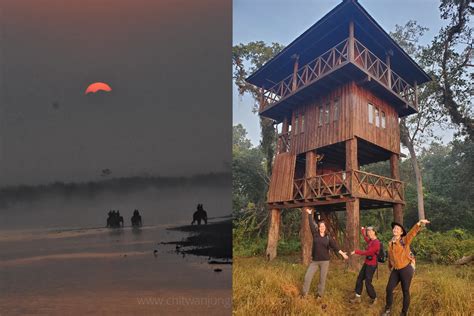 The Chitwan Jungle Guides Crazy Tiger S Trek And Tours