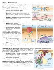 Understanding Hormones And Sex In Endocrine Communication Course Hero