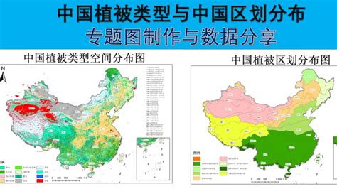 中国植被类型图与植被区划图的制作（专题图制作与数据分享） 哔哩哔哩