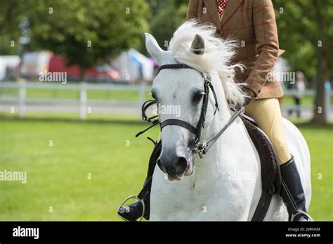Woman Riding Pony Hi Res Stock Photography And Images Alamy