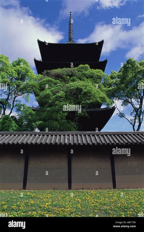 Silhouette Temple Toji Temple Kyoto Hi Res Stock Photography And Images