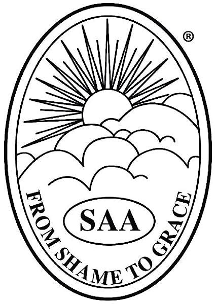 Sex Addicts Anonymous 3rd Edition Conference Approved Fellowship SAA 9780989228640 Amazon