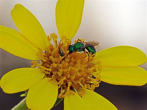 britt reid net worth 2021