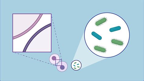 Free Graphs and Symbols Icons, Symbols & Images | BioRender