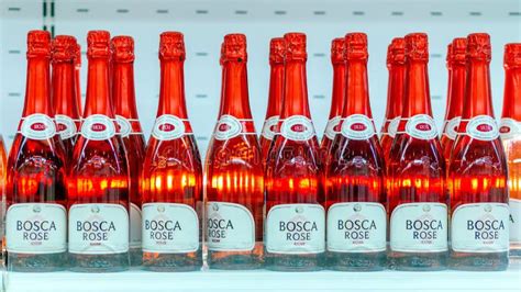 Boska Rose Stock Photos - Free & Royalty-Free Stock Photos from Dreamstime