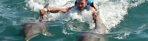 Isla Mujeres Dolphin Swim + Manatees & Sea Lion Combo