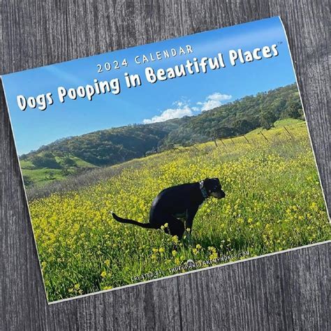 Buy Dogs Pooping In Beautiful Places , Humor Dog Pooping 2024, Monthly