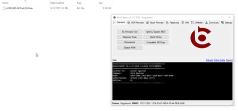 remove efi lock bioscreator