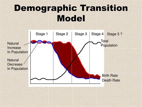 PPT - Demographic Transition Model PowerPoint Presentation, free ...