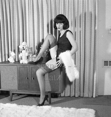 S Negative Sexy Brunette Pinup Girl Sandy Ansin Cheesecake T Ebay