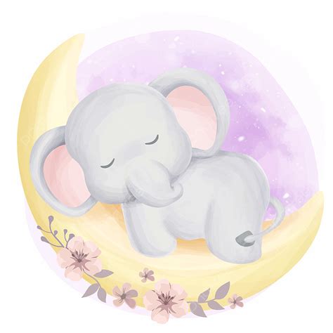 Baby Elephant Sleeping Cartoon