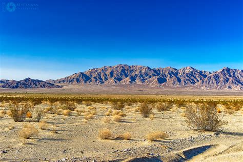 Death Valley to Mojave desert, June 2016. - Field Notes