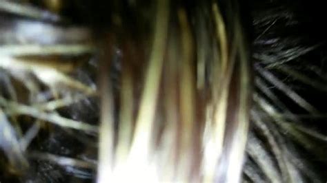 Mirian Gabriela Search Xvideos