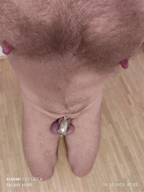 Weighing Cagecheck Separated Eggs Oktober 15 2023 14 Nude Pics XHamster