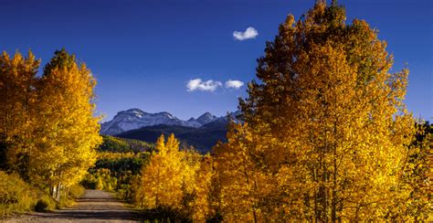 albertas fall forecast catch  autumn leaves    news