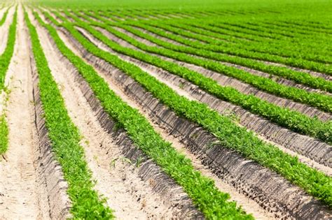 page  fertile farmland images    freepik