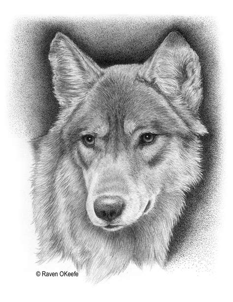 Wolf Totem Pole Drawing at PaintingValley.com | Explore collection of Wolf Totem Pole Drawing