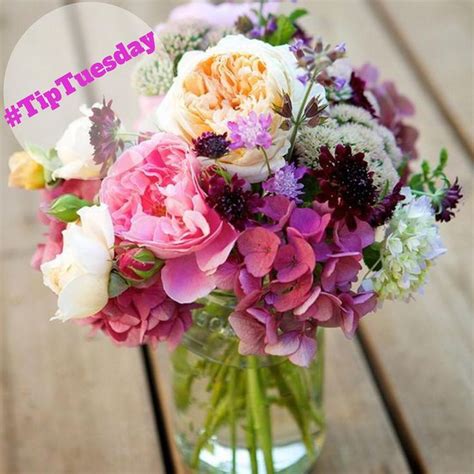 Fresh Tips for Extending Flower Lifespan