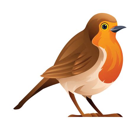 Robin Cartoon