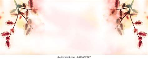 Thousand Pussy Willow Royalty Free Images Stock Photos Pictures Shutterstock