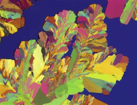 Oestradiol Female Sex Hormone Our Beautiful Wall Art And Photo Gifts Include Framed Prints