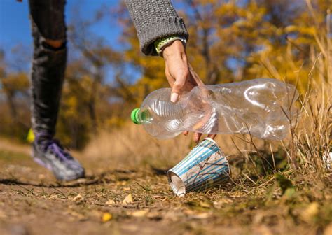 tips  visiting americas national parks gulo  nature