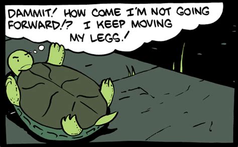 The Turtle Represents How Youre A Pussy Phoenix