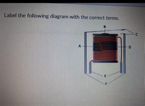 Solved Label the following diagram with the correct | Chegg.com