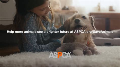 ASPCA on Twitter: "You saw the game in action, but did you see the ...