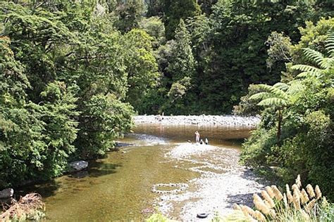 Kaitoke Rivers New Zealand Photo