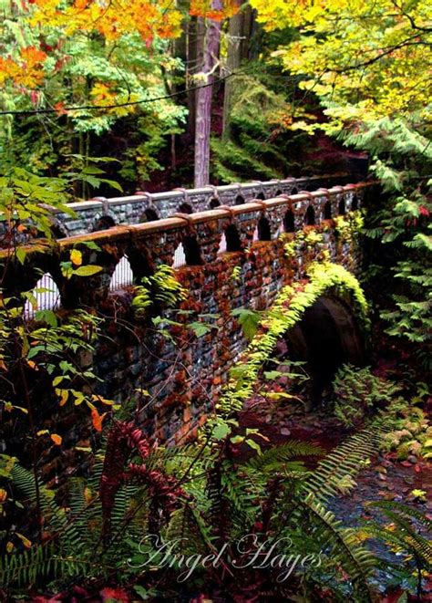 Whatcom Falls Park Bridge Autumn Park Garden Arch Outdoor