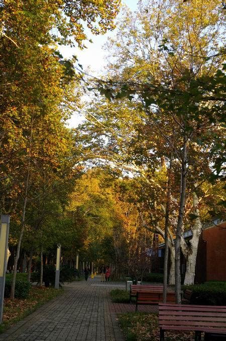 Huazhong University Of Science And Technology 华中科技大学 - WentChina