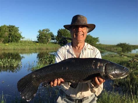 Tararira Excelente Situaci N De Pesca Con Mosca Por La Bendicion Lodge