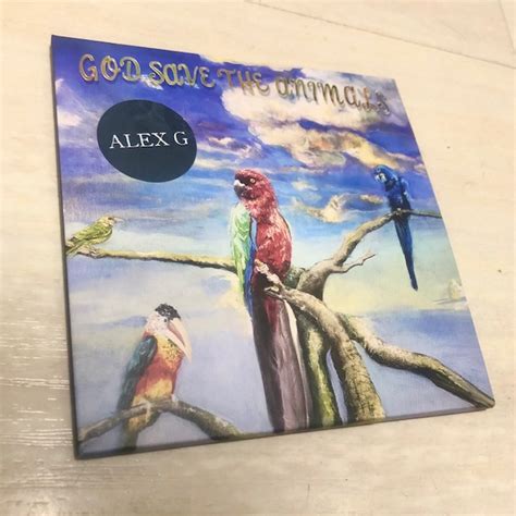 Alex G God Save The Animals 2022 Un Disco Al Dia