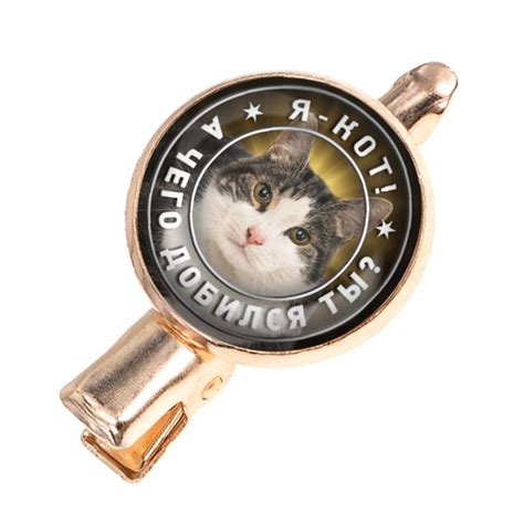 Заколка для волос Я кот. А чего добился ты? - купить с доставкой по ...