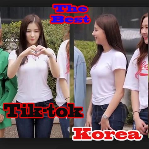 The Best Tik Tok Korea For Android Apk Download