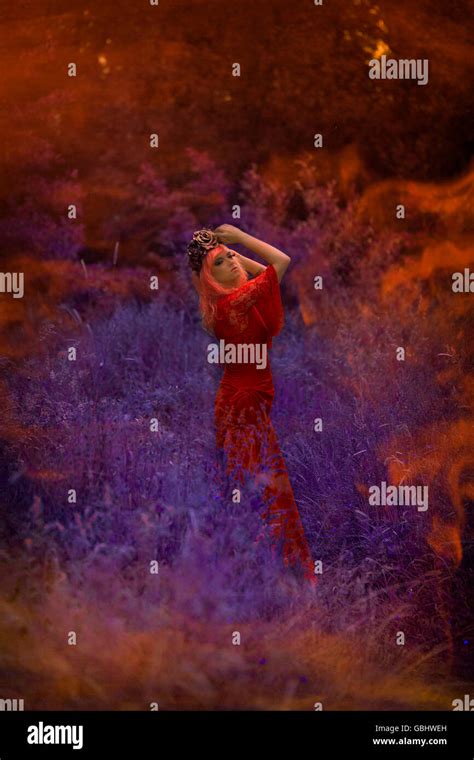 Blonde Romantic Fairy Elf Model In Meadow With With Gold Purple Rose