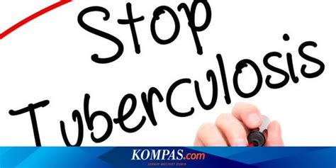 Cara Mencegah Penularan Tuberkulosis Tbc Yang Rentan Lewat Udara