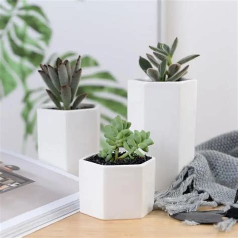 Цветочный горшок для суккулентных растений мясистые растения ...