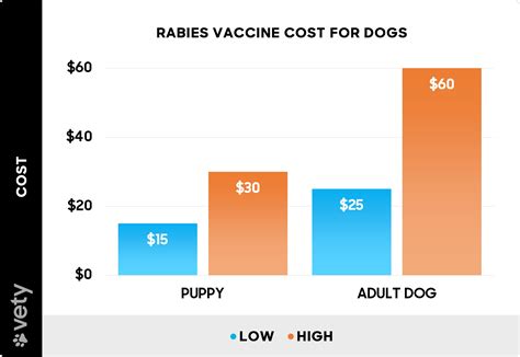How Much Does a Rabies Vaccine Cost for Dogs? (2024)