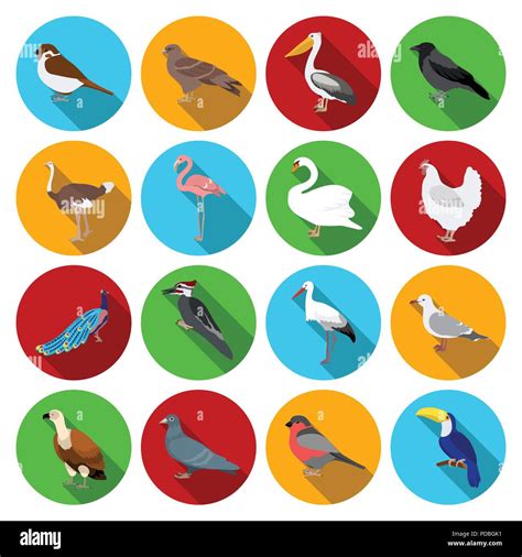 types  birds flat icons  set collection  design home  wild
