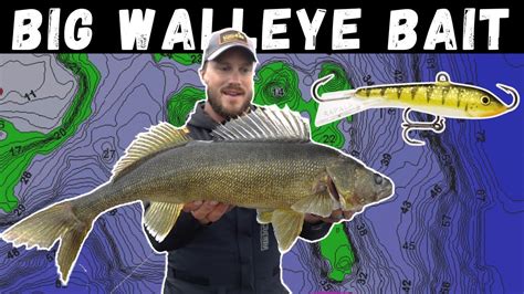 Best Bait To Use To Catch Walleye